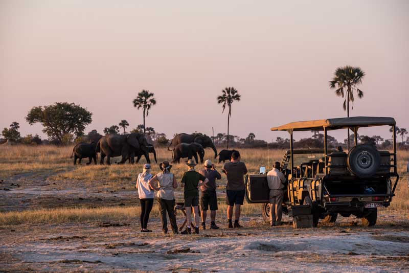 Tom's Little Hide - Hwange